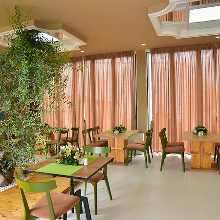 Hotel Vila D Tirana